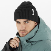Căciulă Salomon Snowbird Beanie U
