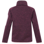 Hanorac copii Regatta Junior Newhill Fig Powder Lilac