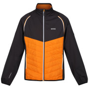 Geacă bărbați Regatta Steren Hybrid portocaliu/ Orange Pepper/Ash