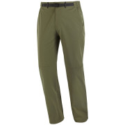 Pantaloni bărbați Salomon Wayfarer 2.0 Pants M verde Grape Leaf