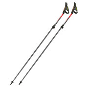 Bețe Nordic Walking Fizan NW Carbon Pro Impulse