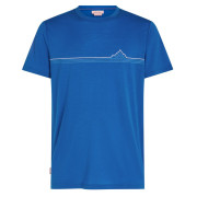 Tricou bărbați Icebreaker Men Merino 150 Tech Lite SS Tee Range Stripes