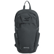 Rucsac Regatta Prism 20L negru Ash
