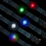 Lumină LED pentru câini Nite Ize NiteDog™ Rechargeable Pet Light