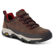 Încălțăminte femei Regatta Womens Blake Low