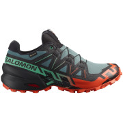 Încălțăminte de alergat pentru bărbați Salomon Speedcross 6 Gore-Tex