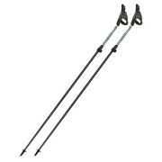 Bețe Nordic Walking Fizan Tekno Race Impulse gri Grey