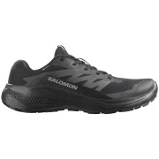 Încălțăminte bărbați Salomon Alphaglide Gore-Tex