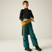 Pantaloni de schi copii Dare 2b Outmove III Insulated Pant Mediterranea