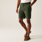 Pantaloni scurți bărbați Regatta Dalry Short