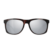 Ochelari de soare Vallon Ventures maro închis Dark tortoise