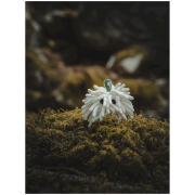 Săculeț pentru magneziu Midnight Lightning Chalktopus