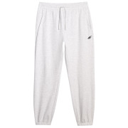 Pantaloni bărbați 4F Trousers Cas M1139