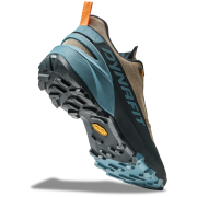 Încălțăminte bărbați Dynafit Transalper 2 Gtx