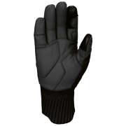 Mănuși de schi bărbați SnowLife Strive Glove