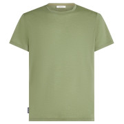 Tricou funcțional bărbați Icebreaker Men Merino Blend Core SS Tee verde deschis Lichen