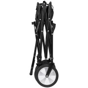 Cărucior de camping Brunner Cargo Linx