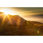 Cort Force Ten Neon UL 1