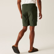 Pantaloni scurți bărbați Regatta Dalry Short