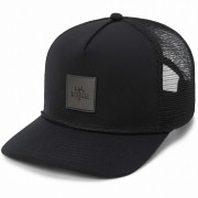 Șapcă Dakine Coastline Trucker negru/gri black