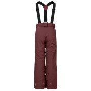 Pantaloni de iarnă copii Dare 2b Outmove III Insulated Pant Huckleberry