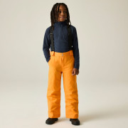Pantaloni de schi copii Dare 2b Outmove III Insulated Pant ElectricOrng