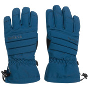 Mănuși de schi Dare 2b Charisma III Glove albastru MoonLt Denim