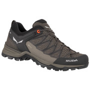 Încălțăminte bărbați Salewa Ms Mtn Trainer Lite Gtx gri