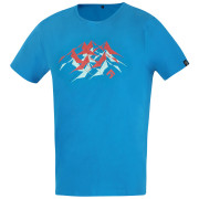 Tricou bărbați Direct Alpine Flash Men´s albastru