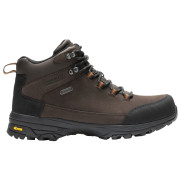 Ghete / bocanci bărbați Regatta Burrell Leather Boot II maro închis Peat