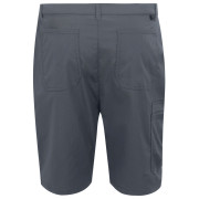 Pantaloni scurți bărbați Regatta Dalry Short