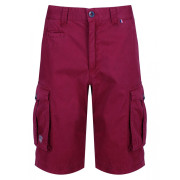 Pantaloni scurți bărbați Regatta Shorebay Short