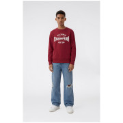 Hanorac copii Champion Crewneck Sweatshirt B GMS