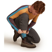 Șosete călduroase bărbați Icebreaker Men Merino Hike+ Heavy Crew