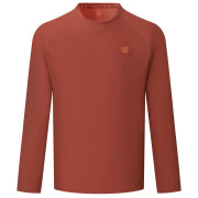 Tricou bărbați Dare 2b Agile Long Sleeved Tee maro ArabianSpice