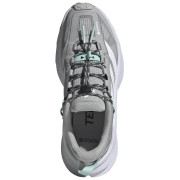 Încălțăminte femei Adidas Terrex Freehiker Sl Gtx
