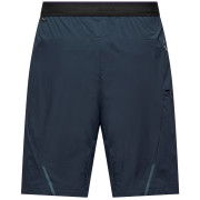 Pantaloni scurți bărbați Salewa Pedroc 4 Dst Cargo Short M