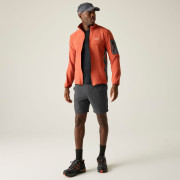 Pantaloni scurți bărbați Regatta Anti-Insect Travel Light Shorts