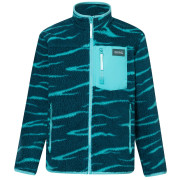 Hanorac funcțional copii Regatta Junior Frankie Warm Fleece Mediterranea Zebra verde Mediterranea Zebra
