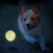 Jucărie pentru câini Nerf Dog LED launcher Air Strike