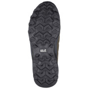 Încălțăminte bărbați Jack Wolfskin Refugio Texapore Low M