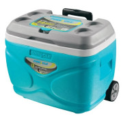 Cutie frigorifică Pinnacle Prudence 30L