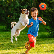 Jucărie pentru câini Nerf Dog X-Weave Soccer Squeak Ball 12,5 cm