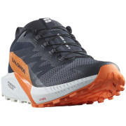 Încălțăminte de alergat pentru bărbați Salomon Sense Ride 5 Gore-Tex