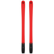 Schiuri pentru schi alpin Black Crows Camox Freebird
