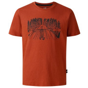 Tricou copii Dare 2b Trailbazer III Tee Arabian Spice maro ArabianSpice