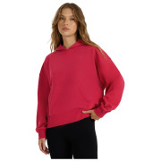 Hanorac femei 4F Sweatshirt F1887