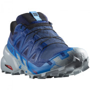 Încălțăminte de alergat pentru bărbați Salomon Speedcross 6 Gore-Tex