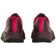 Încălțăminte de alergat pentru femei The North Face W Offtrail TR Gore-Tex