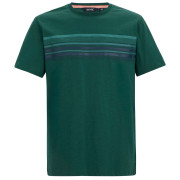 Tricou bărbați Regatta Rendro verde Mediterranea